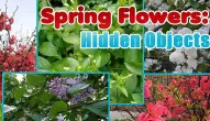 Jeu: Spring Flowers Hidden Objects