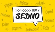 Gra: Sedno