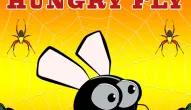 Gra: Hungry Fly
