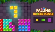 Game: Falling Blocks Puzzle