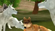 Гра: Wild Wolves Hunger Attack