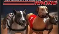 Jeu: Courses de chiens