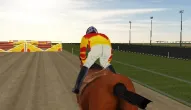 Gra: Horse Ride Racing