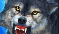 Game: Sniper Wolf Hunter