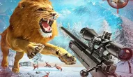 Game: Wild animal hunting