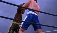 Game: Ultimate Boxing Game