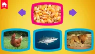 Gra: What do animals eat