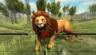 Game: Lion Hunting 3D
