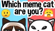 Game: Which meme cat are you?