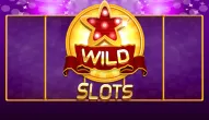 Game: Wild Slot