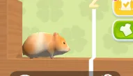 Game: Hamster Maze Online