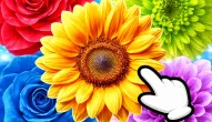 Game: The Flowers: Merge and Sell Bouquets