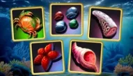 Game: Seafaring Memory Challenge