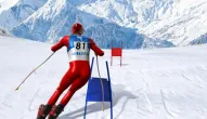 Game: Slalom Ski Simulator