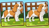 Game: Dogs Spot The Differences