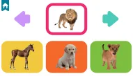 Game: Baby Animal