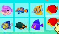 Game: Merge Fish