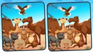 Game: Spot 5 Differences Deserts