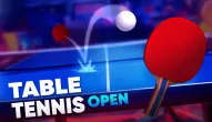 Game: Table Tennis Open