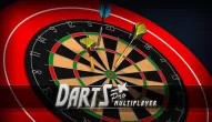 Game: Darts Pro Multiplayer