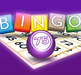 Zasady gry w bingo