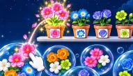 Gra: Pop Flower