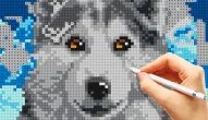 Gra: Cross Stitch Masters